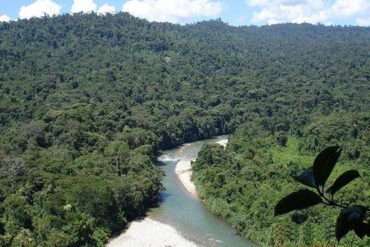 Podocarpus National Park PODOCARPUS NATIONAL PARK ECUADOR