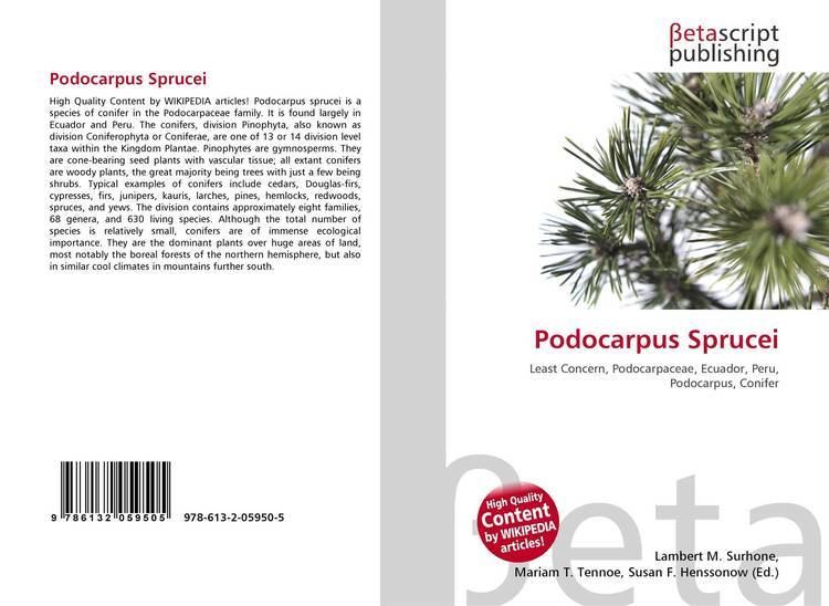 Podocarpus sprucei httpsimagesourassetscomfullcover2000x9786