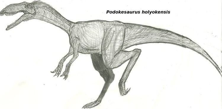 Podokesaurus Podokesaurus Pictures amp Facts The Dinosaur Database