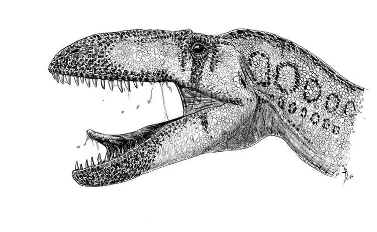 Poekilopleuron Dubreuillosaurus valesdunensis