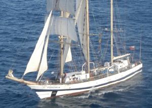 Pogoria (ship) Tall Ships Pogoria Sail Training Hellas STH