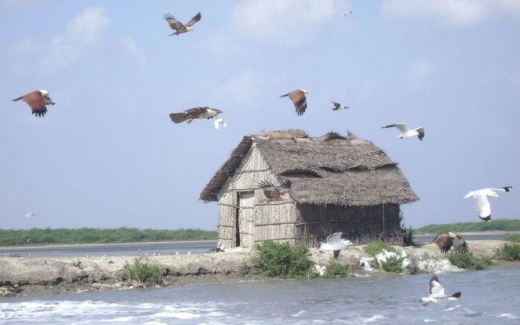 Point Calimere Wildlife and Bird Sanctuary Point Calimere Wildlife and Bird Sanctuary Wikiwand