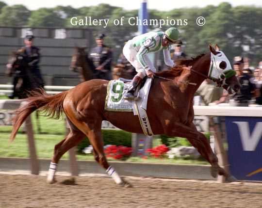 Point Given Point Given 2001 Belmont Stakes Finish Gallery of Champions