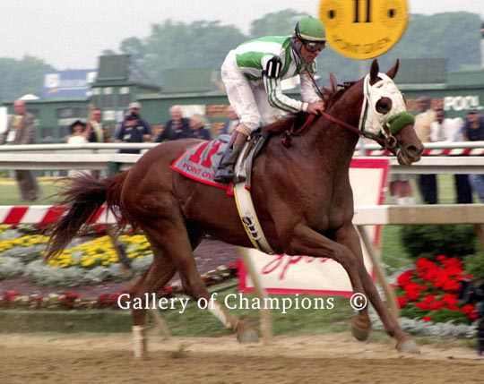 Point Given Point Given 2001 Preakness Stakes Gallery of Champions