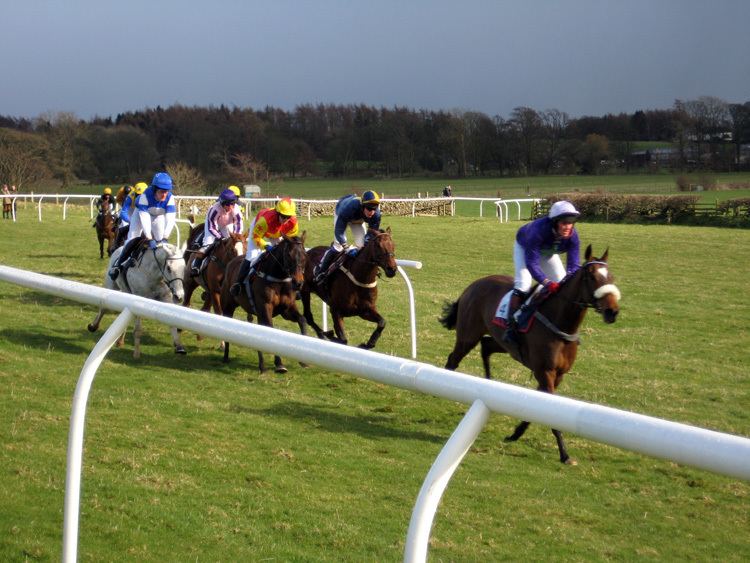 Point-to-point (steeplechase)