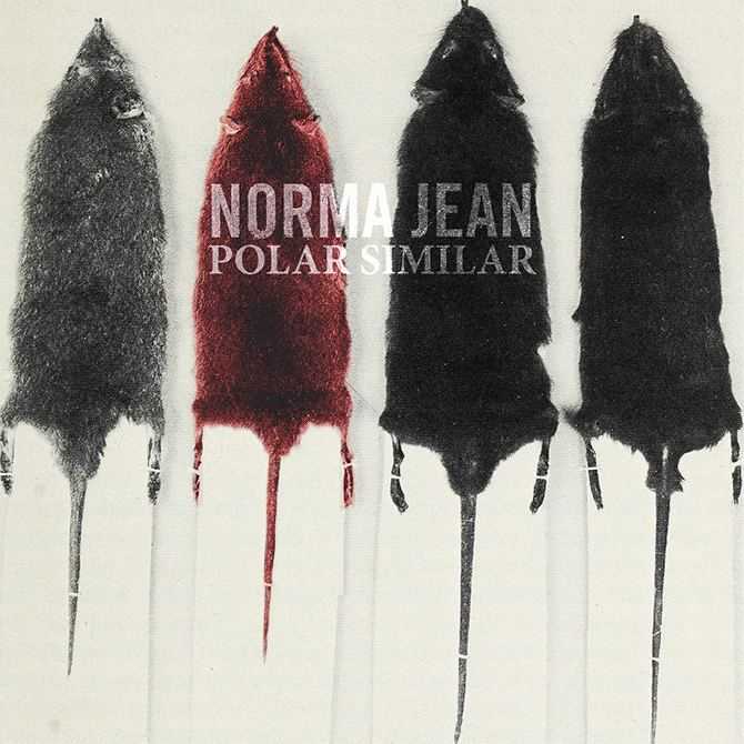 Polar Similar newnoisemagazinecomwpcontentuploads201609No