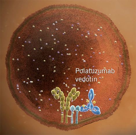 Polatuzumab vedotin httpswwwbiooncologycomcontentdamgenebioon