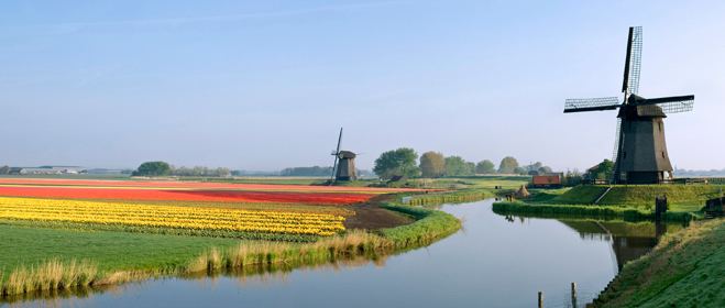 Polder Business in The Netherlands understanding the Dutch Polder Model