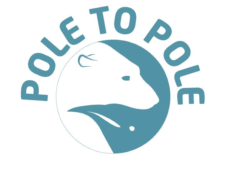 Pole to Pole News Bears in mind