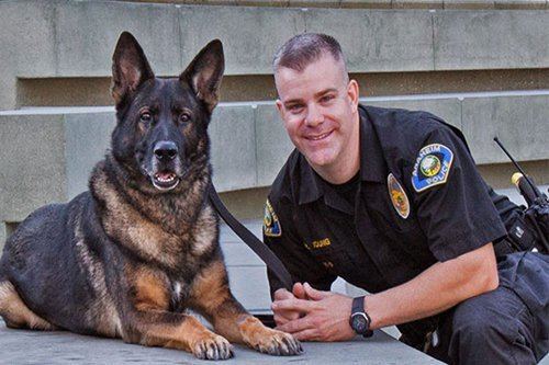 Police dog 10 Best Police Dog Breeds World39s Best Guard Dogs