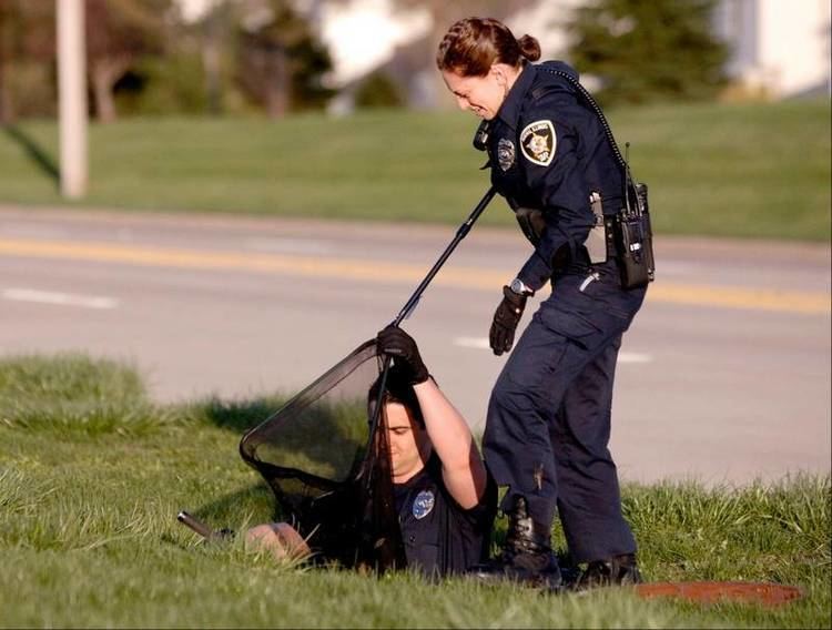 Police Rescue Normal police rescue 8 ducklings from sewer