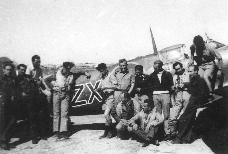 Polish Fighting Team The World Wars