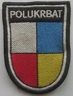 Polish–Ukrainian Peace Force Battalion