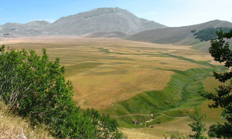 Polje FilePianoGrande poljejpg Wikimedia Commons