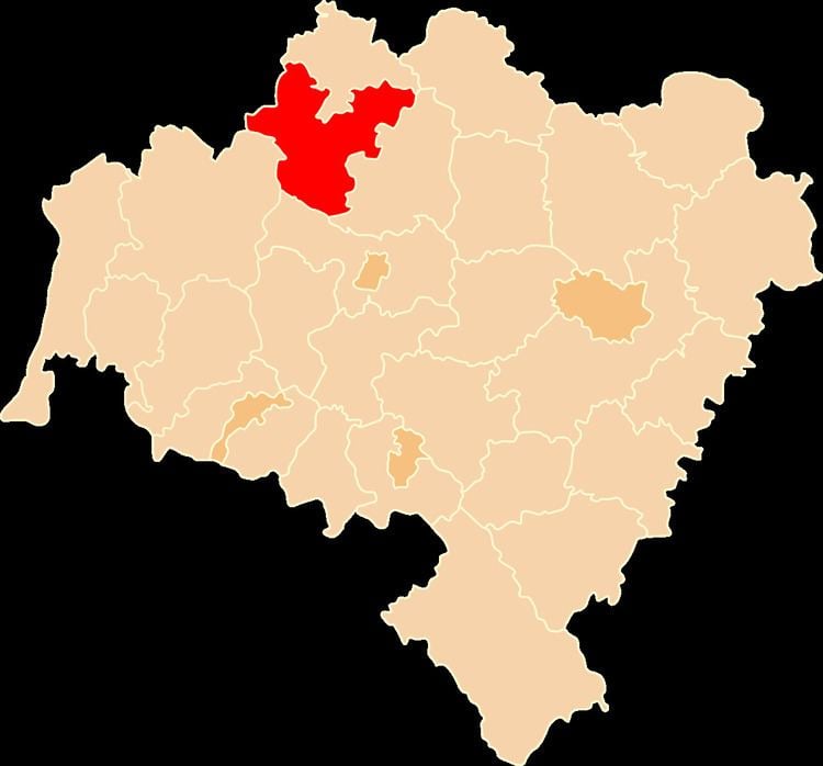 Polkowice County
