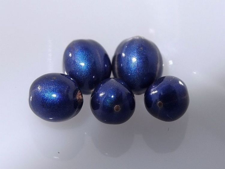 Pollia condensata Metallic Blue Berries Pollia condensata quotMarble Berryquot Jesse Waugh