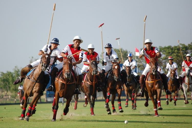 Polo at the 2007 Southeast Asian Games