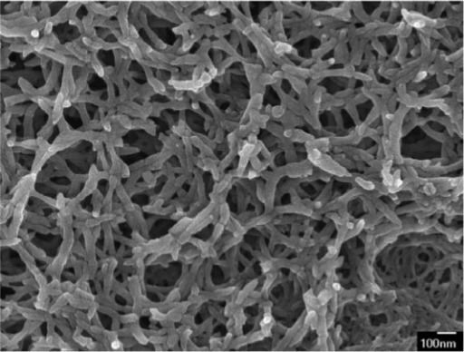 Polyaniline nanofibers