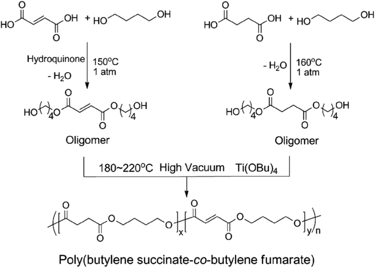 Polybutylene succinate A facile and versatile strategy to efficiently synthesize sulfonated