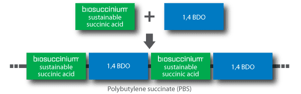 Polybutylene succinate Polybutylene Succinate PBS Reverdia Enabling Sustainable