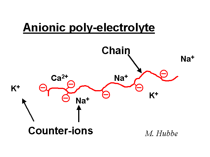 Polyelectrolyte Polyelectrolytes