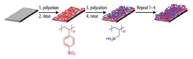 Polyelectrolyte Polyelectrolyte Multilayer Films and Membrane Functionalization