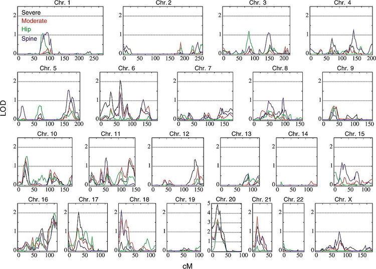 Polygene