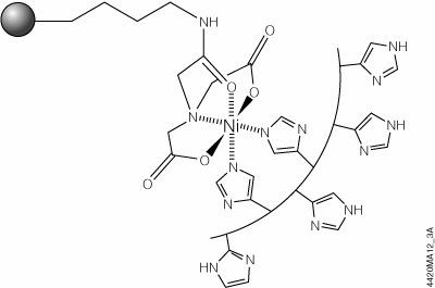 Polyhistidine-tag Protein Purification and Analysis