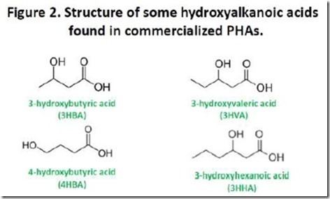 Polyhydroxyalkanoates Polyhydroxyalkanoates Nature39s Polyester Polymer Innovation Blog