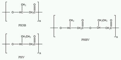 Polyhydroxyalkanoates Polyhydroxyalkanoates Wikipedia