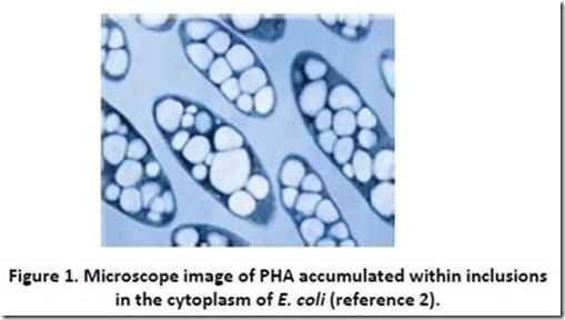 Polyhydroxyalkanoates httpspolymerinnovationblogcomwpcontentuploa