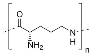 Polylysine polyLlysine CAS No 28211043 Henan Kangtai Pharmaceutical