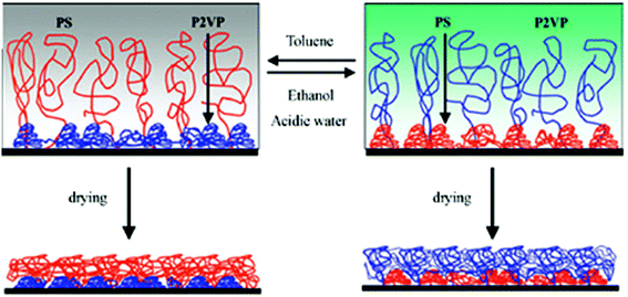 Polymer brush Smart polymer brushes and their emerging applications RSC Advances