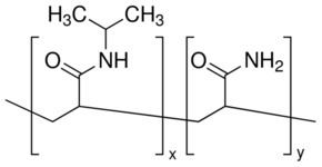 Poly(N-isopropylacrylamide) PolyNisopropylacrylamidecoacrylamide acrylamide 15 mol