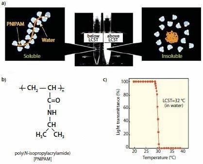 Poly(N-isopropylacrylamide) PolyNisopropylacrylamidebased Smart Surfaces for Cell Sheet