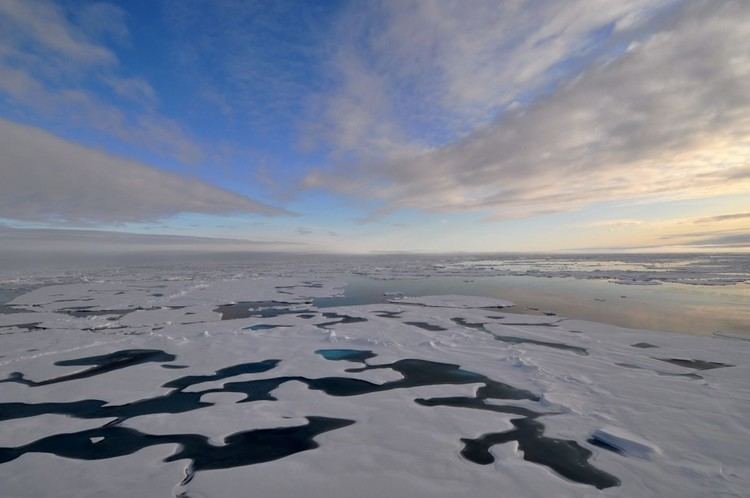 Polynya Climate Change Affects Even The Deepest Waters Of The Ocean