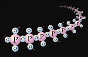 Polyphosphate Polyphosphate summary