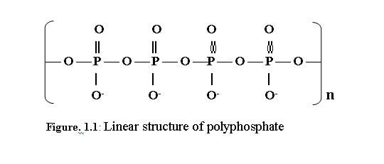 Polyphosphate Polyphosphate in microorganisms