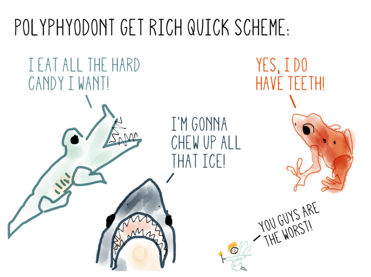 Polyphyodont Buzz Hoot Roar Vocabulary Friday Polyphyodont