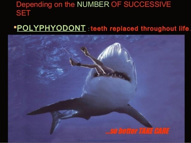 Polyphyodont Tooth development and eruption certified fixed orthodontic course