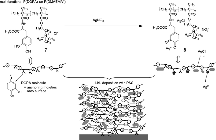 Polystyrene sulfonate Allinone strategy for the fabrication of antimicrobial biomimetic