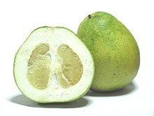 Pomelo Pomelo Wikipedia