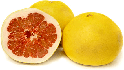 Pomelo Pomelo Grapefruit Information Recipes and Facts