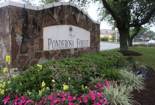 Ponderosa Forest, subdivision North Houston httpsc4c5h4b3jv11qq3kf399hf3cwpenginenetdnas