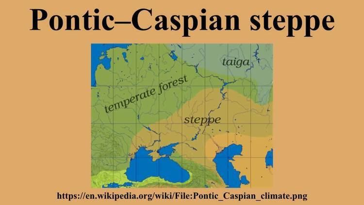 Pontic–Caspian steppe PonticCaspian steppe YouTube