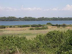 Pontine Marshes httpsuploadwikimediaorgwikipediacommonsthu