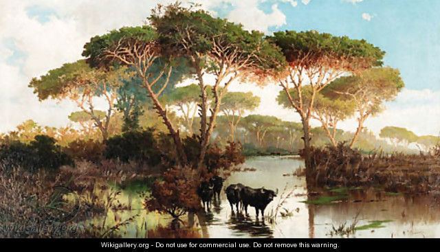 Pontine Marshes Cattle in the Pontine Marshes Pietro Barucci WikiGalleryorg