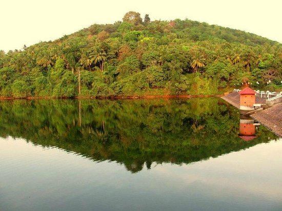 Poomala Dam Poomala Dam Thrissur Top Tips Before You Go TripAdvisor