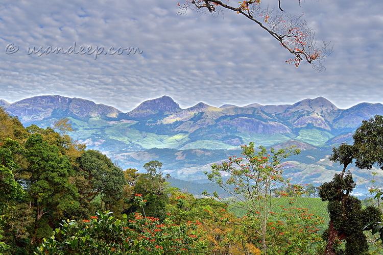 Poopara Sandeep 39s World gtgt View of Munnar hills from Poopara