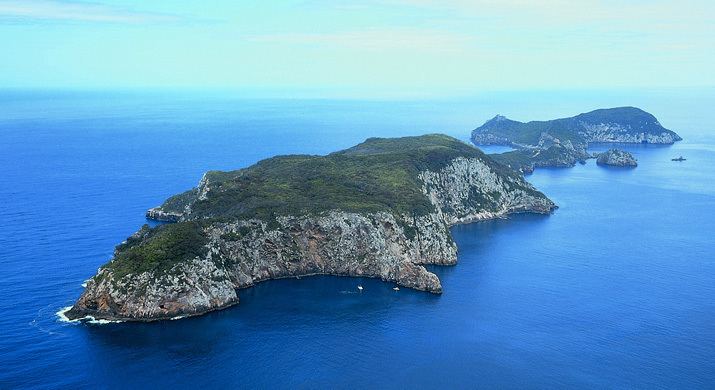 Poor Knights Islands Marine Reserve New Zealand Marine Protected Areas MPAs as LTampC Exemples Poor